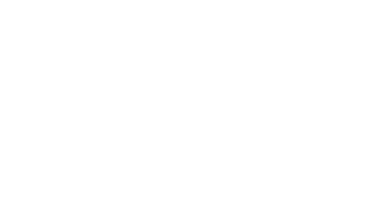 BSS LMS — Logistics Management Software